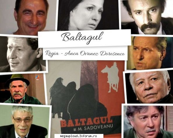 baltagul (1982) repostare !tvrip870